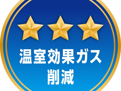 【期間限定】6月15.16.17日発送！シャキシャキきゅうり摘果小さめ2kg弱