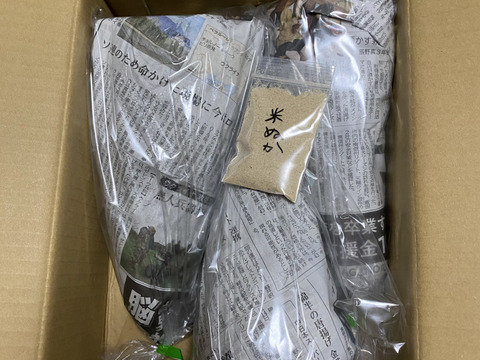 朝採りタケノコはいかがでしょうか？2.5kg