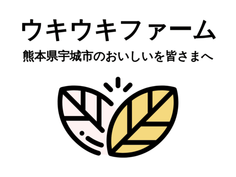 （予約販売）2024年11月中にお届けします！和食・鍋に！【 熊本のとれたて新しょうが4kg】とれたて・露地栽培の新生姜（4kg）