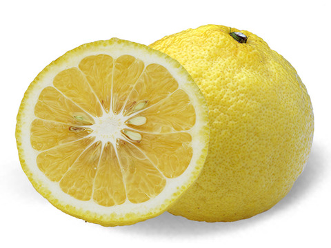 【女性に人気】雪の様に白いから　ワンダーゆき720㎖