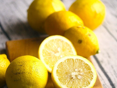 皮まで使える 和歌山県産レモン（防カビ剤不使用) 2kg