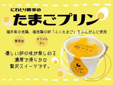 【夏ギフト】ふくたまごプリン６個セット