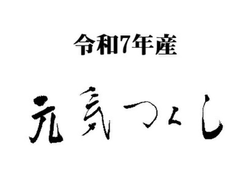 【農薬・肥料不使用】令七年産　元気つくし　白米
