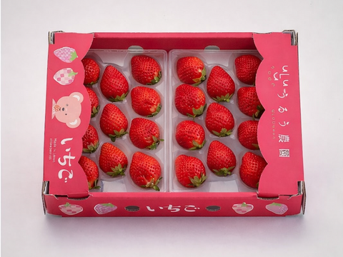 いちご うるベリー220g×2パック【冬ギフト】