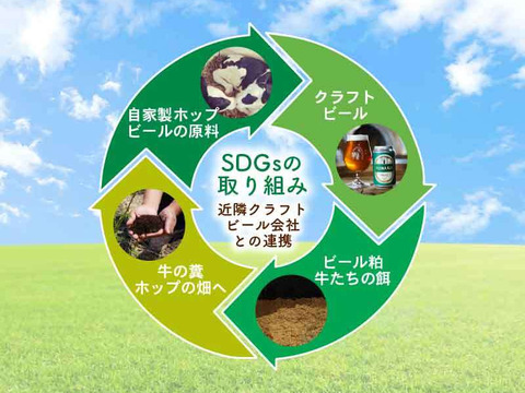 酪農家が本気で作った 葛アイスキャンディ 20本 4種×5本 ミルク コーヒー 抹茶 季節の果物