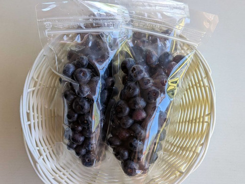 信州・奈川産！『冷凍ブルーベリー』600ｇ