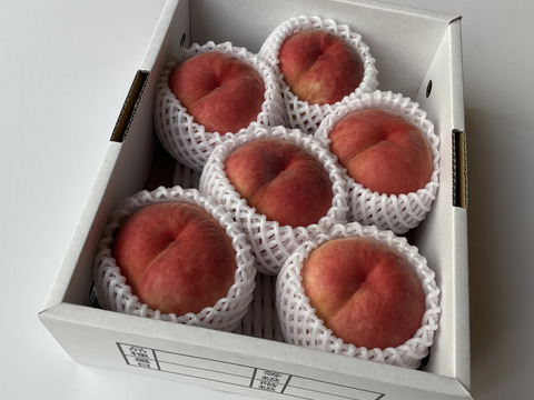 ガリガリ桃　大きめ１０キロ 18日まで／【桃の概念をぶっ壊す固さ】🍑おどろき 2キロ🍑【固すぎ桃