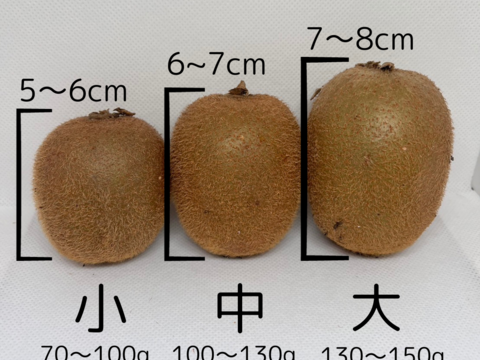 甘くて美味しいキウイフルーツ 追熟剤入り ※橋本ふるさと便※2kg 大サイズ