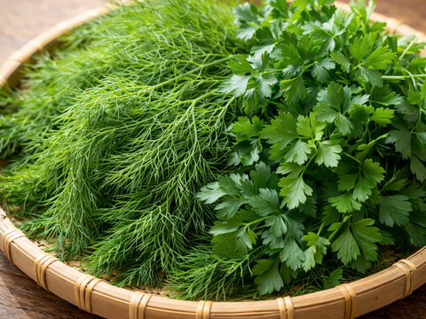 【限定】イタリアンパセリ100gディル30gルッコラ200gお料理で大活躍‼️アクアポニックス野菜🐟