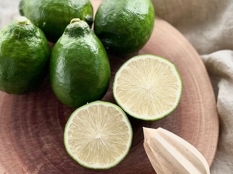 家庭用　グリーン璃の香　国産レモン　瀬戸内産　5㎏