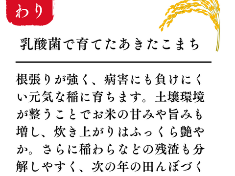 あきたこまち 【玄米】新米 R7年度産  30kg 秋田県産 あきたこまち