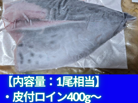新星！養殖スマ(媛スマ)冷凍皮付ロイン(400g以上) 2パック/箱