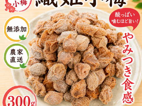 🎉500円OFF対象【無添加】梅と国産塩だけ！昔ながらの酸っぱい白干し
