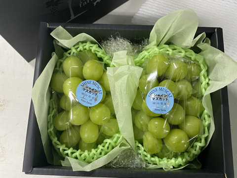 【葡萄好き園主が作る】こだわり栽培シャインマスカット 2房 約1.0kg  秀品ランク 岡山県産 9月出荷 (熨斗対応可)