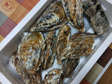 限定100個！生食用 殻付き1.5kg＆剥き身300gお試しセット  宮城県産 殻付き 牡蠣 殻付き牡蠣 殻付カキ 生食 オイスター  牡蛎  BBQ バーベキュー 無選別