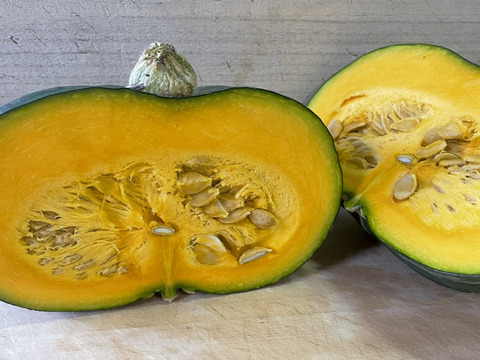 【最高品種】栗かぼちゃ1個約1.5kg 農薬・化学肥料不使用 くり将軍