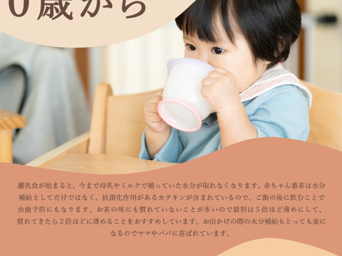 【メール便・単品】太陽さんさん 赤ちゃん番茶 紐付きTB 2.5g×65p　ノンカフェイン