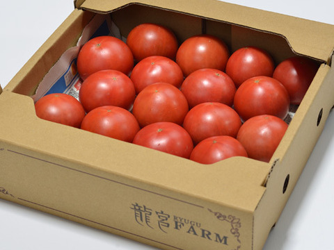 セレブ御用達♪濃厚なトマト、セレブスイート✨✨