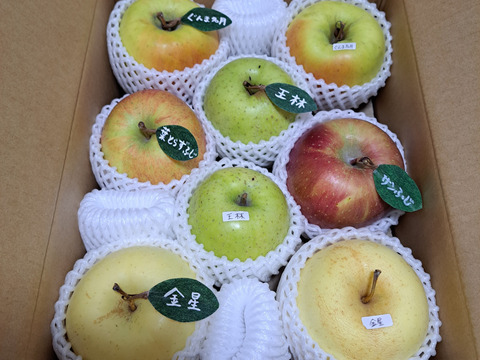 🍎 【冬ギフト】(家庭用)5品種詰め合わせ🍎3キロ   おまかせ 商品ID171041