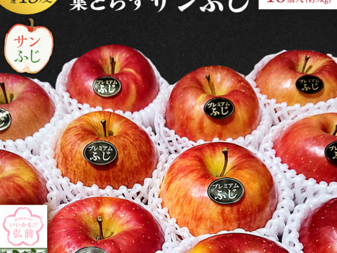 青森県産りんご 「大人気」「１０名様限定販売」プレミアム葉とらずさんふじ自然味５Kg糖度13%以上保証