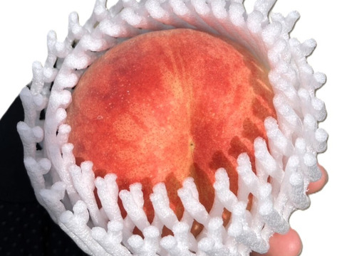 今年の桃はよくできました！おまかせ桃セット 約3㎏