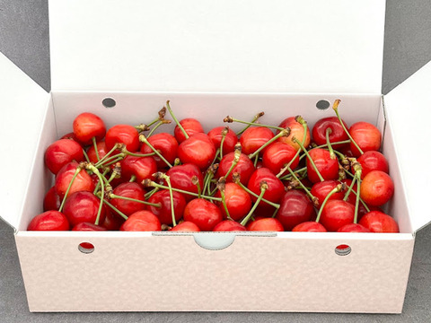 特別な大玉！さくらんぼ 3～4L バラ 約700g