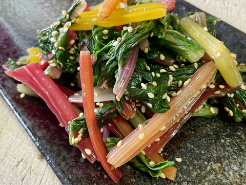 カラフルほうれん草スイスチャード4袋×120g  農薬・化学肥料不使用