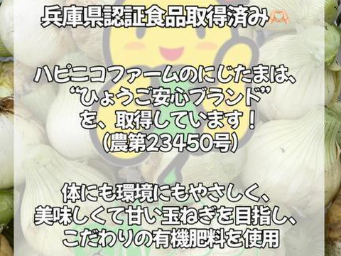 【予約】生産農家直送 淡路島産ブランド新玉ねぎ 『にじたま』超極早生品種 9kgダンボール入り（ご家庭用・30個前後） 使いやすいM・L・2L混在！≪水分量No1!!≫◎特別栽培　2月末頃から順次発送