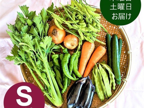 【採れたて】旬のおまかせ野菜セット(S/7-8品）