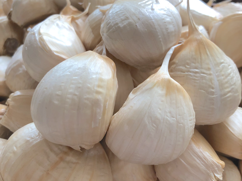 【今だけ200円引き‼️】買わなきゃ損✨青森バラにんにく特大500g🧄