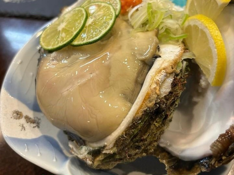 《日間賀島産》素潜り漁採取，天然岩牡蠣
超特大サイズ【下処理して発送致します‼︎※写真7枚目】濃厚な旨味、海のミルク、2Kg2.3個入