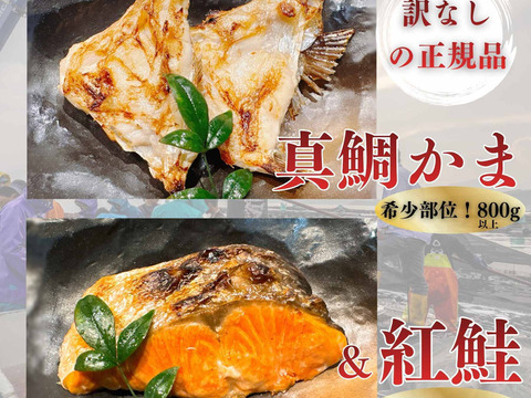 【母の日ギフト】【沼津 鯛 カマ 800g】＆【紅鮭 切り身 700g】食べ比べセット