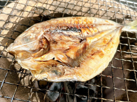 【特選地魚食べ比べ】一夜干しや味醂干し漁師手作り干物セット 10パック入り