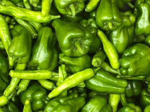 【栄養価が高い】しゅんセット(8〜10品目前後)