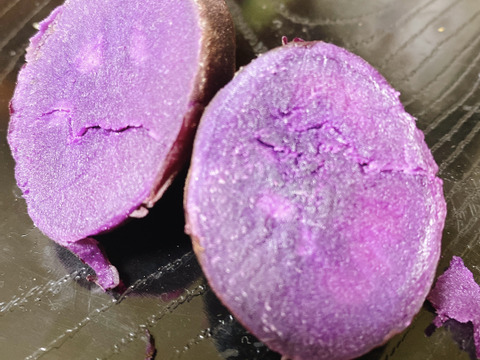 【通年完全農薬不使用】信州八ヶ岳山麓産　紫さつまいも　5kg