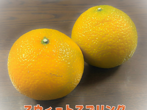 [送料500円引] 特盛フルーツセット8種