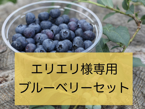 エリエリ様専用　ブルーベリーセット