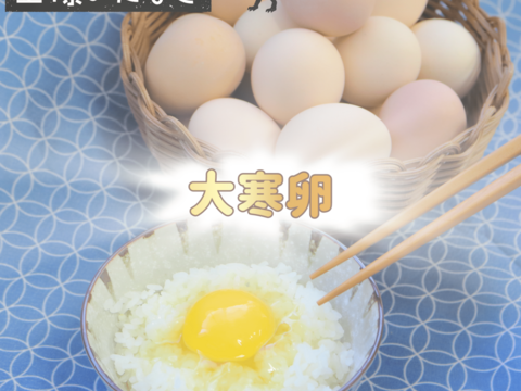 大寒の平飼い名古屋コーチン【王様のたまご】24個（22個+破卵補償分2個含む）