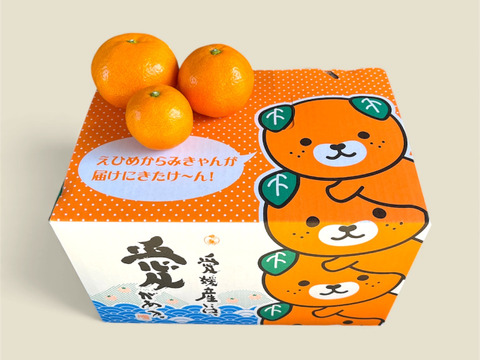 【贈答用】濃厚 真穴（まあな）産 早生みかん  サイズ混合 2S～Lサイズ 3kg  数量限定（サイズ指定不可）