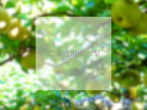 【幸水3kg箱いっぱい】【家づかい用】甘さダントツ一番！太陽の恵みいっぱい！庄内甘熟梨