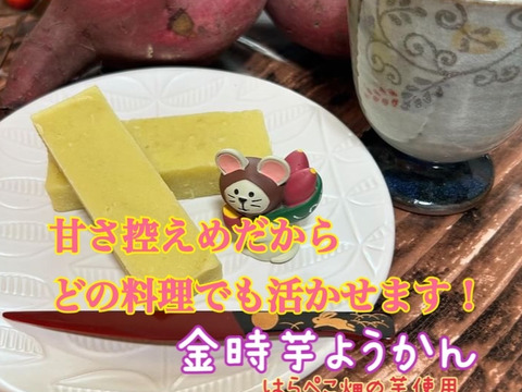 CBCテレビ チャント！で紹介【ホクホク金時】4.5kg 料理で活きる万能いも-簡単レシピつき-