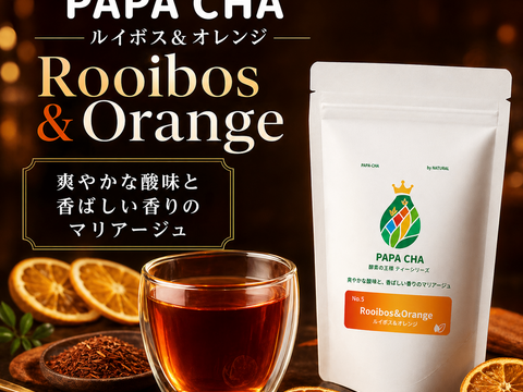 ルイボスティー オレンジ 青パパイヤ茶 パパイア王子 国産 ノンカフェイン ティーバッグ 酵素 無添加 宮崎県産 農薬不使用 美容茶 健康茶 ギフト ティーバッグ31個入り