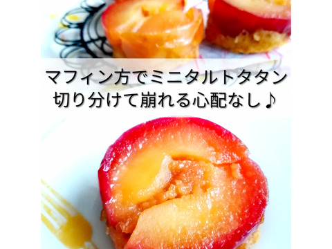 【希少品種】ピンクレディー®5kg箱｜冬の終わりに一番おいしい“大人のりんご”