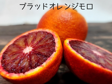 箱込約2㌔　柑橘あじくらべ　8種類以上はいって旬の美味しい果実があじくらべ