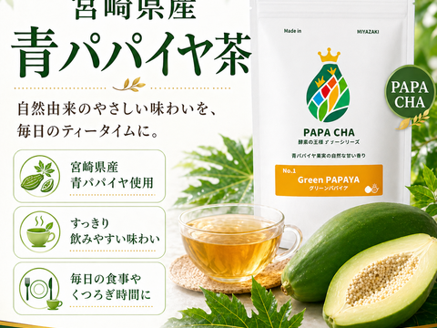パパイア王子 宮崎グリーンパパイアティー ティーバッグ7個入り 酵素 美容茶 青パパイヤ茶 スーパーフード パパイン酵素 日本産 ポリフェノール パパイヤ