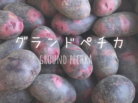 希少種！じゃがいも【グランドぺチカ】4.5kg　デストロイヤー