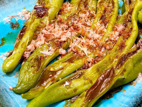 【予約販売】京都・舞鶴産 朝採れ万願寺とうがらし 良品 約400g