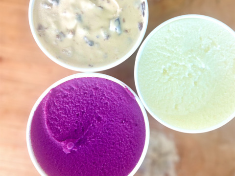 【冬ギフト】ぶどう農家のこだわりジェラート＆シャーベット　5種各3
個(計15個)