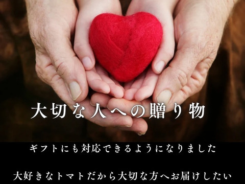 【特別栽培農産物の取得】＼極み／塩トマトのようなフルーツトマト　ソムリエミニトマト　ダイヤ３kg（１２０玉～２００玉）