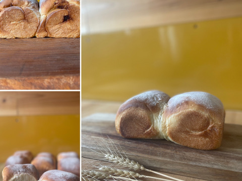 【希少種】挽立て全粒粉◎バラエティパン詰め合わせ◎小麦農家民宿の朝食パンセット